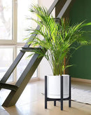 D'vine Dev Ceramic Planter with Ebony Stand - 12 Inch Modern Round Flower Pot with Wood Planter Holder, White, 55-B-H-1 by CozyNest Decor
