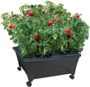 Emsco Group City Picker Raised Bed Grow Box – Self Watering and Improved Aeration – Mobile Unit with Casters by GreenHaven Gardens