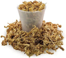 Premium New Zealand Sphagnum Moss - Organic Hand Mixed Long Fibered Sphagnum Moss Orchid - 3 Quart by GreenHaven Gardens