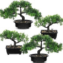 Jexine 4 Pack Artificial Bonsai Tree, Indoor Small Fake Plants in Pots for Home Table Office Desk Bathroom Shelf Bookshelf Bedroom Living Room Farmhouse Decorations by GreenHaven Gardens