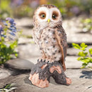 WONDER GARDEN Owl Statue Decor, Outdoor Resin Owl Figurine Sculpture for Home Porch Patio Lawn Yard Decorations or Housewarming Gifts by CozyNest Decor
