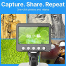 Coin Microscope for Error Coins, 4.3 inches 1080P LCD Digital Microscope, 50x-1000x Magnifier with 8 Adjustable LED Lights, PC View, Compatible with MacOS Windows for Adults Kids by TinyTreasures Baby Boutique