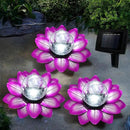 LEWIS&WAYNE Solar Garden Lights Outdoor, 3 Pcs Purple Lotus Flower Pathway Lamps with Cool White Crackle Glass Globe Led Lights for Patio Pathway Yard Balcony Garden Decorations by CozyNest Decor