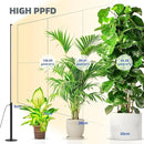 Barrina T10 Pro Standing Grow Light with Timer, 42W, 169 LEDs, Full Spectrum Vertical Grow Light for Indoor, Wide Coverage, 4FT to 5.6FT Height with Foot Switch, Ideal for Flowering and Tall Plants by GreenHaven Gardens