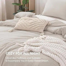 Litanika Comforters Super King Size Linen, 3 Pieces Lightweight Solid Bedding Set & Collections, All Season Fluffy Bed Set (120x120In Comforter & 2 Pillowcases) by CozyNest Decor