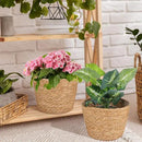 Woven Straw Flower Pot Seagrass Planters Basket Garden Plant Pot Containers Wicker Rattan Vase Sundries Organizer Storage Bins for Indoor Outdoor Plants by CozyNest Decor