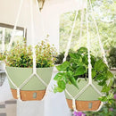 QCQHDU 2 Pack Hanging Planters for Indoor Plants, Outdoor Hanging Baskets, Self Watering Pots with Drainage Holes & Removable Tray (Green, 8 inch, Macrame Hanger) by GreenHaven Gardens