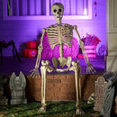 JOYIN 6.9 FT Halloween Skeleton Posable Plastic Full Body Realistic Human Bones with Movable Joints for Indoor Outdoor Halloween Props Spooky Scene Party Decorations（White, No Screwdriver） by GreenHaven Gardens