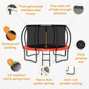 JUMPZYLLA Trampoline Outdoor 8FT 10FT 12FT 14FT 15FT 16FT with Enclosure and Ladder, ASTM Approved Recreational Trampoline for Kids and Adults, Anti-Rust Coated Frame by TinyTreasures Baby Boutique