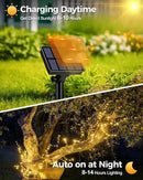 1 Pack Solar Fairy Lights for Outside Waterproof, 49FT/15M 150LED Solar String Lights Outdoor 8 Modes Solar Twinkle Lights for Garden Yard Christmas Tree Wedding Party Decor, Warm White by CozyNest Decor
