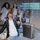Karaoke Machine with Two Wireless Microphones, Powerful Portable Bluetooth Speaker for Adults & Kids, PA System with 2 Voice Mode, LED Lights, Supports BT/TWS/AUX/USB/TF for Party (Black+Sliver) by TinyTreasures Baby Boutique