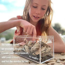 THE MASONRY | Acrylic Terrarium for Isopod Enclosure | 8"x4"x4" | Sling Tarantula Enclosure and Bug Tank | Small Spider Habitat | Terrarium Pre-Assembled with Magnetic Lock by CozyNest Decor