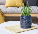D'vine Dev 5 Inch Embossed Leaves Stoneware Planter Pot with Drainage Hole and Saucer, Midnight Blue, 27-A-V-3 by GreenHaven Gardens
