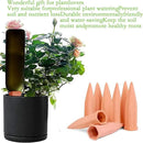 XXYXXY Terracotta Watering Spikes Plant Watering Clay Automatic Watering Device for Plants Used in Holidays, Indoor Plant Watering Device Clay Automatic Watering Device (10PCS) by GreenHaven Gardens
