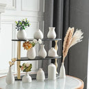 JOJUNO White Bud Vases, Small Ceramic Vase Set of 11, Mini Pottery Vases for Flowers, Decorative Pieces for Home Modern Decor, Boho Decor, Chic Accents for Living Room Dining Table Shelves by GreenHaven Gardens