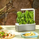 Click & Grow Smart Garden, 3 Pods Indoor Herb Growing System (3 Basil Pods Included)| Easier Than Hydroponics Growing System, Automatic Nutrients, Watering and Grow Light, Noise-free Technology, Beige by GreenHaven Gardens