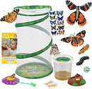 Insect Lore Butterfly Garden - 8" Habitat with 5 Live Baby Caterpillars - Includes Life Cycle Figurines, Stickers, Wind up, Mini Habitat | Birthday or Teacher Gift Set by TinyTreasures Baby Boutique