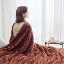 NEWCOSPLAY Super Soft Queen Blanket Coffee Premium Silky Flannel Fleece 3D Clouds Stylish Jacquard Lightweight Bed Blanket All Season Use 350GSM (Coffee, Queen(90"x90")) by CozyNest Decor
