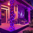 100 LED Halloween Lights Outdoor, 33ft Halloweem String Lights Indoor Clear Wire 8 Modes Waterproof Plug in Twinkle Fairy Lights with Timer Memory for Room Tree Party Decorations, Purple&Orange by GreenHaven Gardens