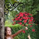 GSY 2 Pcs Hanging Plant Bracket 12-Inch,Wall Hook Hanging Plant Brackets,Black Iron Plants Indoor/Outdoor Planter Hangers Hooks,for Hanging Lanterns,Bird Feeders,Wind Chimes,Planters by GreenHaven Gardens
