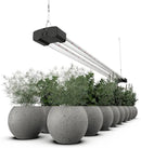 BoostGro LED Grow Light Full Spectrum 5000K Daylight + 660nm Red Linkable Indoor Plant Lighting Fixture Tubes (4 FT, Black) by GreenHaven Gardens