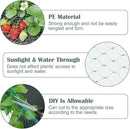 CandyHome 13Ft x 33Ft Anti Bird Protection Mesh Garden Netting Seedlings Plants Flowers Fruit Trees Vegetables from Rodents Deer Reusable Fencing, Green by GreenHaven Gardens