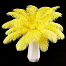 THARAHT Yellow Ostrich Feathers 12pcs Natural Bulk 8-10Inch 20cm-25cm for Crafts Wedding Party Centerpieces Halloween and Home Decoration Feathers by CozyNest Decor