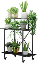 Zhongma 3 Tier Sturdy Plant Stand with Wheels, Heavy Duty Plant Holder for Home Indoor and Outdoor, L35.43 xW17.32 x H41.73 inch by GreenHaven Gardens