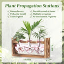 Lifecapido Heart Shaped Propagation Stations, Plant Terrarium with Wooden Stand, Plant Propagation Station for Hydroponics Plants Office Garden Home Decor, Gifts for Women Plant Lover (3 Vases, Pink) by GreenHaven Gardens