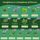 25 Culinary Classic Herb Seeds Variety Pack - 13,055+ Non-GMO Heirloom Herbs Seeds for Planting Indoor & Outdoor: Lavender, Rosemary, Dill, Mint, Catnip, Basil - Gardening Seeds Packets by GreenHaven Gardens