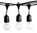 Hometown Evolution, Inc. 50 Foot E26 Outdoor Commercial String Lights with Suspended Socket for Weatherproof Heavy Duty Vintage Outside Lighting - Set of 25 A15 Clear Bulbs by GreenHaven Gardens