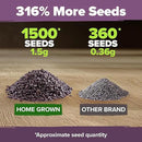 HOME GROWN 𝗨𝗦𝗔 𝗣𝗥𝗘𝗠𝗜𝗨𝗠 English Lavender Seeds 1,500+ 𝗡𝗢𝗡-𝗚𝗠𝗢 Wildflower Seed for Planting Indoor/Outdoor, High Germination, Plant Flower Seeds (Lavandula antustifolia) by GreenHaven Gardens