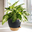 10/9/8 inch Medium Self Watering Pots, Planter, Plant Pots with Mesh Drainage Holes for Indoor Outdoor Garden Plants, Plastic Flower Pots with Removable Deep Reservoir, Black with Brown by CozyNest Decor