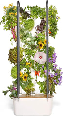 Gardyn 4.0 Hydroponics Growing System Kit & Vertical Garden Planter, 30 Non-GMO Indoor Plants Smart Garden, Herbs, Vegetables & LED Grow Lights for Indoor Gardening System by GreenHaven Gardens