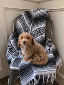 Del Mex Classic Mexican Blanket, Large Authentic Woven Falsa Throw (70"x50"), Artisan Southwest Décor for Beach, Yoga, Outdoors (Gray) by CozyNest Decor