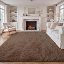 6x9 Area Rug for Living Room: Fluffy Shag Soft Washable Rugs Large Fuzzy Plush Indoor Carpet for Bedroom Nursery Playroom Kids Girls Boys Room (Coffee, 6'x9') by TinyTreasures Baby Boutique