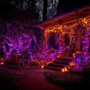 Dazzle Bright Halloween String Lights, 600 LED 196 FT Waterproof Black Wire String Lights with 8 Lighting Modes, Halloween Decorations Outdoor for Party Yard Garden Decor, Purple and Orange by CozyNest Decor