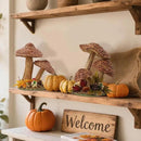 winemana 2 Pack Mushroom Fall Decor - Handmade Woven Mushrooms Figurines, Rustic Farmhouse Table Centerpieces for Thanksgiving, Autumn Home, Shelf & Kitchen Decor by CozyNest Decor