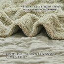 EMME Muslin and Fleece Queen Blanket Reversible - 80"*90" Sage Green Soft Warm Throw Blankets for Couch Bed Picnic Travel Bed by CozyNest Decor