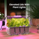 MIXC 4-Pack Seed Starter Tray Kit with Plant Light Seedling Trays with Adjustable Humidity Domes & Clear Cell Trays 12 Full Spectrum LED Beads for Indoor Plant Growth(Transparent) by GreenHaven Gardens