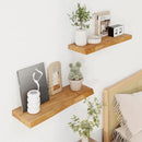 Axeman 24 inch Floating Shelves for Wall - 8'' D Live Edge Rustic Solid Elm Wood Floating Shelves Wall Mounted, Wall Shelves with Invisible Bracket for Living Room Bedroom Kitchen, Set of 2 Natural by CozyNest Decor
