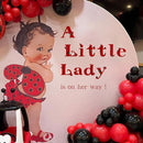 A Little Lady Is On Her Way Decal - Ladybug Party Decorations Supplies Wall Stickers, Girls Birthday/Baby Shower Party Decor Wall Decals, Balloon Arch Backdrop Decoration Ladybug Sign Stickers by TinyTreasures Baby Boutique
