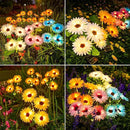 WdtPro 4 Pack Solar Lights Outdoor Garden Decor, Upgraded Outdoor Solar Garden Lights with 16 Glowing Daisy Flowers & Stems, Waterproof Auto ON/Off Solar Flowers Lights for Outside Garden Yard Patio by GreenHaven Gardens