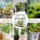Plant Terrarium Jar, Rifny Indoor House Shape Glass Terrarium Planter with Lid for Venus Fly Trap Succulent Live Air Plants, Small Terrarium Decor for Home Office (Without Plants) by GreenHaven Gardens
