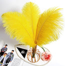 THARAHT Yellow Ostrich Feathers 24pcs Natural Bulk 10-12Inch 25cm-30cm for Crafts Wedding Party Centerpieces Halloween and Home Decoration Feathers by CozyNest Decor