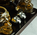 Skull Skeleton Wine & Whiskey Globe Decanter Set 850 mL