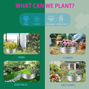 Durable Round Galvanized Steel Raised Garden Bed for Planting,Round Galvanized Steel Fire Ring/Fir Pit 32-Inch for Outdoor,0.8MM Thick (32 ins Diameter x 12 ins high, Silver) by GreenHaven Gardens