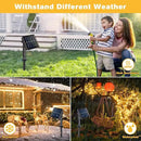 JMEXSUSS 4 Pack 100 LED Solar Fairy Lights, 33ft Warm White Solar String Lights Outdoor Waterproof, 8 Modes Copper Wire Solar Twinkle Lights for Garden Yard Tree Wedding by GreenHaven Gardens