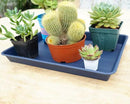 4 Pack Plant Saucer Tray Rectangular, Plant Growing Nursery Trays, Heavy Sturdy Seed Starting Trays, Plant Starter Trays for Indoors No Holes, Seed Starter Growing Tray (17.5"x10.6", Blue) by GreenHaven Gardens