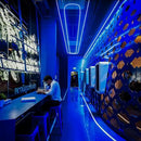 GZBtech Flexible LED Neon Rope Lights 66FT,AC 110-120V Waterproof Strip Light, 120 LEDs/M Cuttable Connectable Neon Lighting for Indoor Outdoor Home Decor/Commercial Building Use-Blue 20M by CozyNest Decor